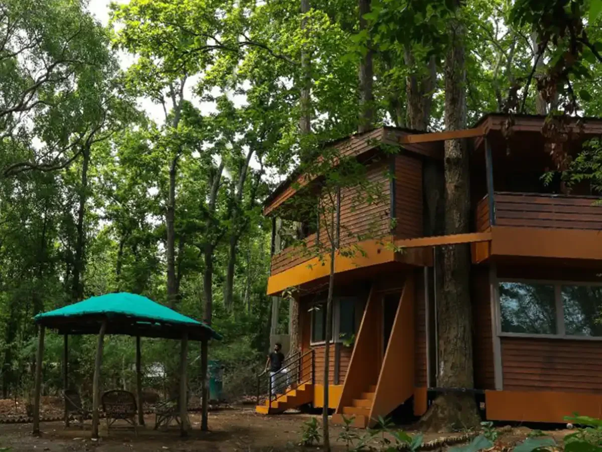 Jungle resort stay